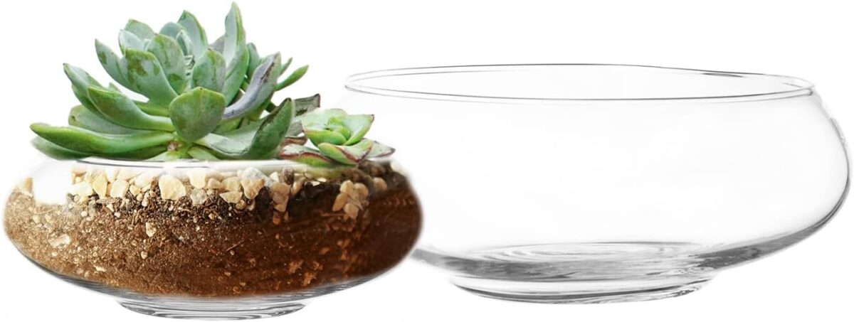 Set of 2 Flower Glass Vase, Bowl Terrarium Succulent Planter, Air Plant Hydroponic Display, Floating Candles Decorative Centerpiece Floral Container for Home or Wedding