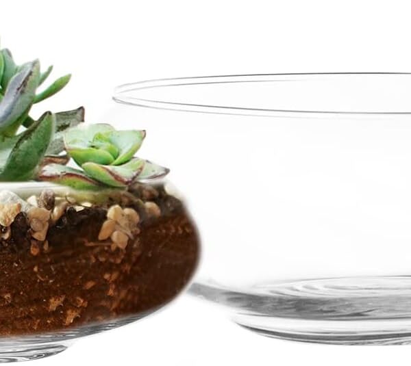 Set of 2 Flower Glass Vase, Bowl Terrarium Succulent Planter, Air Plant Hydroponic Display, Floating Candles Decorative Centerpiece Floral Container for Home or Wedding